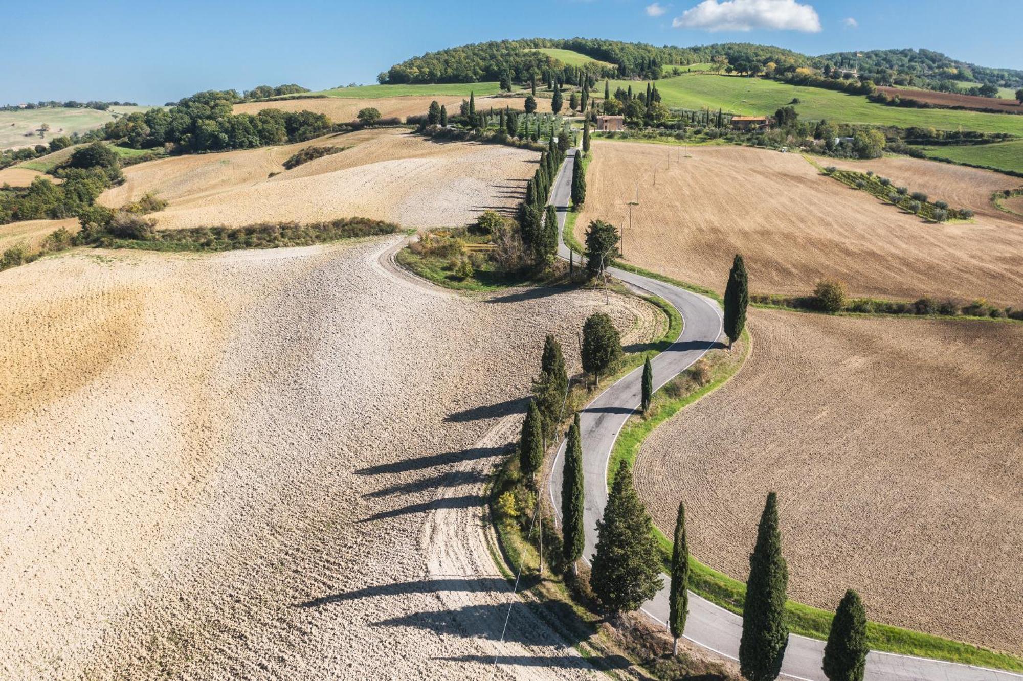 Agriturismo La Casellina Монтикело Екстериор снимка